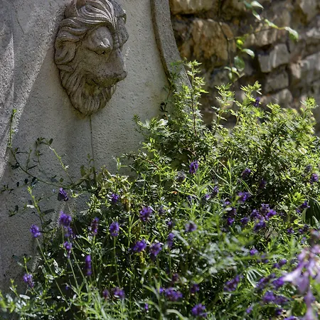 Western Forest And Vale Отель