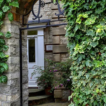 Western Forest And Vale